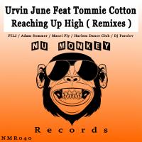 Artwork for Reaching Up High (Remixes) by Urvin June