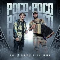 Artwork for Poco A Poco by Xavi