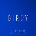 Artwork for Wild Horses (Sam Feldt Remix)