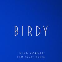 Artwork for Wild Horses (Sam Feldt Remix) by Birdy