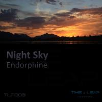 Artwork for Endorphine by Night Sky