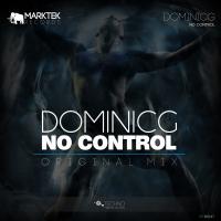 Artwork for No Control by DominicG