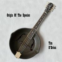 Artwork for Origin Of Species by Tim O'Brien