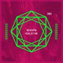 Artwork for Healed Me