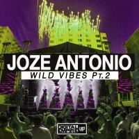 Artwork for Wild Vibes, Pt. 2 by Joze Antonio