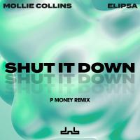 Artwork for Shut It Down (P Money Remix) by Mollie Collins