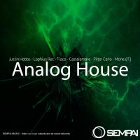 Artwork for Analog House by Various Artists