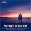 Artwork for What U Need (Max Farenthide & Disco Superstars Extended Remix)