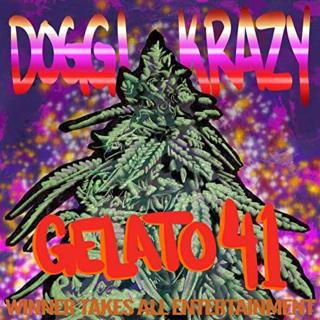 Artwork for Gelato 41