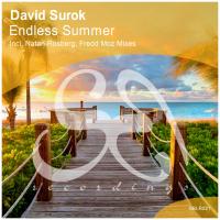 Artwork for Endless Summer by David Surok