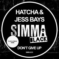 Artwork for Don't Give Up by Jess Bays