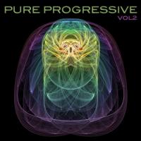 Artwork for Pure Progressive, Vol. 2 by Various Artists