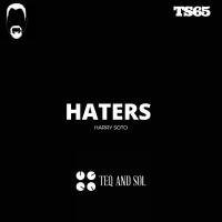 Artwork for HATERS by Harry Soto