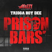 Artwork for Prison Bars by Triggaboy Dee