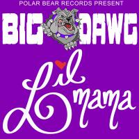 Artwork for Lil Mama by Big Dawg