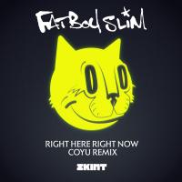 Artwork for Right Here, Right Now (Coyu Remix) by Fatboy Slim