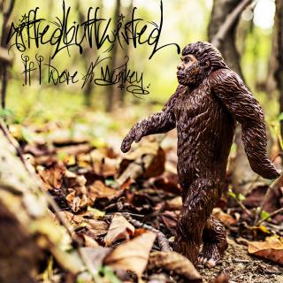 Artwork for If I Were a Monkey