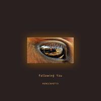 Artwork for Following You by Monicahotts