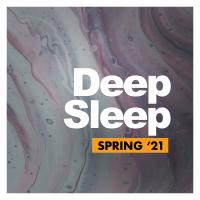 Artwork for Deep Sleep by Rain Sounds