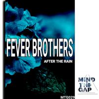 Artwork for After The Rain by Fever Brothers