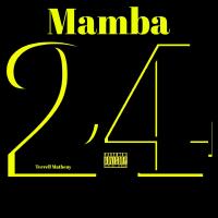 Artwork for Mamba by Terrell Matheny