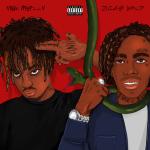 Artwork for "Suicidal (feat. Juice WRLD) [Remix]" by YNW Melly, Juice WRLD