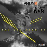 Artwork for Can You Hear It by Phunk Investigation