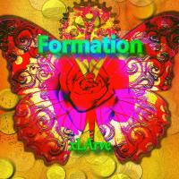 Artwork for Formation by Xlarve