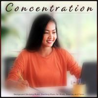 Artwork for Concentration: Study Playlist, Background Studying Music, Soothing Music for Study, Reading and Focus by Benjamin Shadows