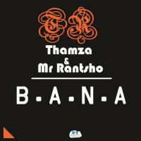 Artwork for B.A.N.A by Thamza