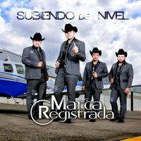 Artwork for Subiendo De Nivel by Grupo Marca Registrada