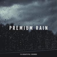 Artwork for Premium Rain by Rain Sounds Sleep