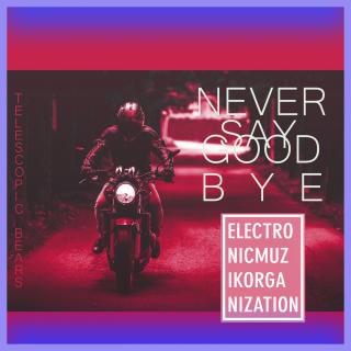 Artwork for Never Say Goodbye (Original Mix)