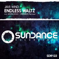 Artwork for Endless Waltz by Javii Wind