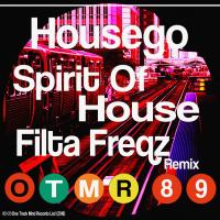 Artwork for Spirit Of House (Filta Freqz Remix) by Housego