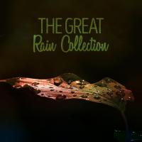 Artwork for The Great Rain Collection by Thunderstorms