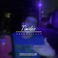 Artwork for Timidez by Cheo Gallego