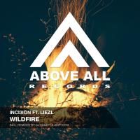 Artwork for Wildfire by Liezl