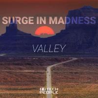 Artwork for Valley by Surge In Madness