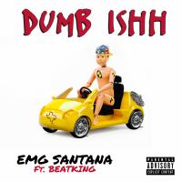 Artwork for Dumb Ishh (feat. Beatking) by Emg Santana