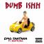 Artwork for Dumb Ishh (feat. Beatking)