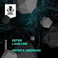 Artwork for Peter's Grooves by Peter Lankton