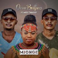 Artwork for Mjonge by Dvine Brothers