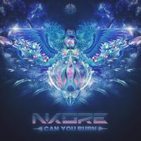 Artwork for Can U Burn by N-kore