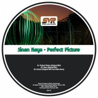 Artwork for Perfect Picture by Sinan Kaya