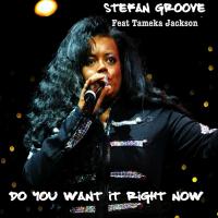 Artwork for Do You Want It Right Now by Stefan Groove