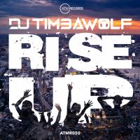 Artwork for Rise Up by DJ Timbawolf