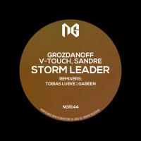 Artwork for Storm Leader by Grozdanoff