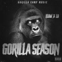 Artwork for Gorilla Season by Flow