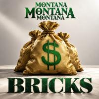 Artwork for Bricks by Montana Montana Montana